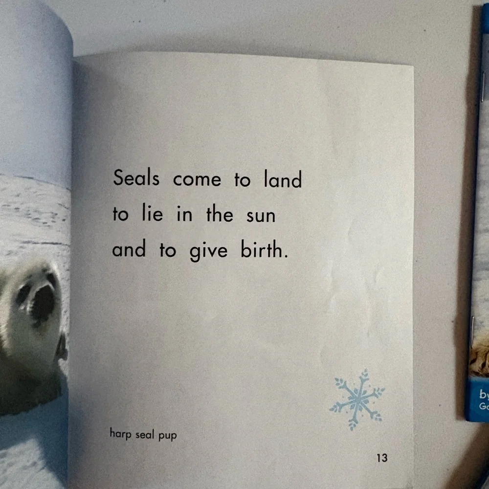 Pebble book set- seals, polar bears, attic foxes and penguins